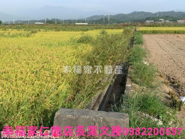 台南東山農地-15