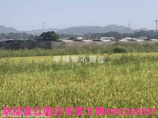台南東山農地-4