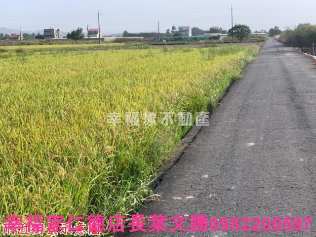 台南東山農地-5