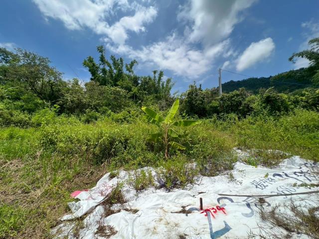 高雄內門農地-10