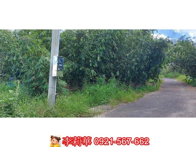台南農地-6