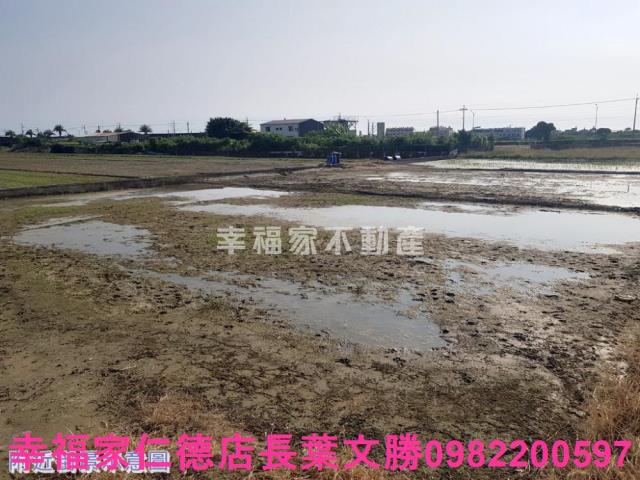 安南農地-2