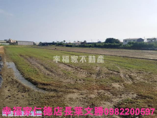安南農地-7