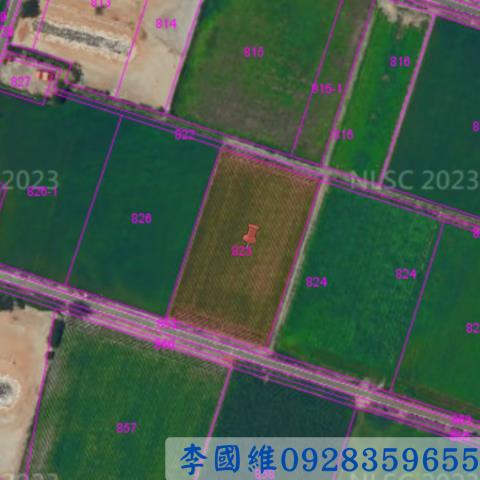 台西農地法拍-3
