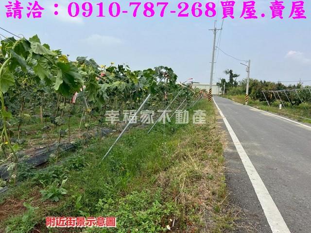 台南農地-8