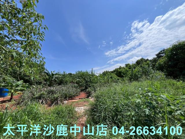 台中保護地-1