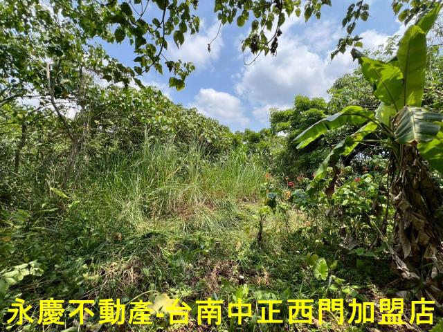 台南東山農地-12