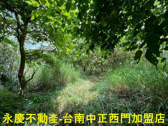 台南東山農地-14