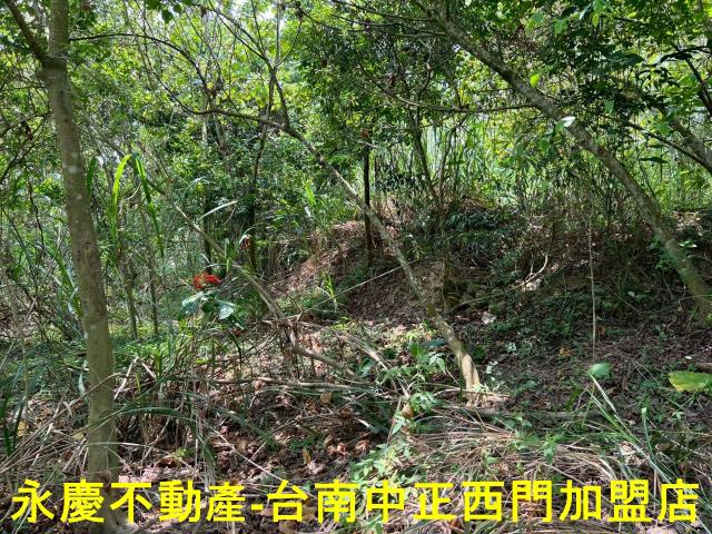 台南東山農地-1