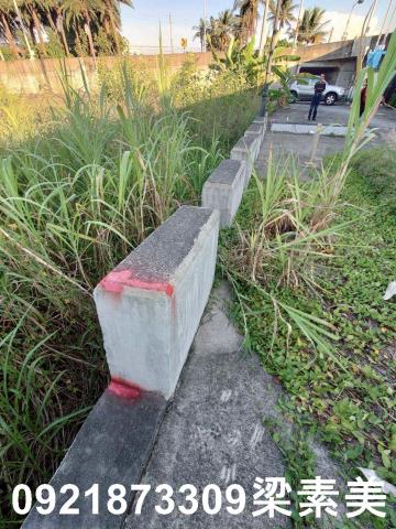 台南學甲農地-11