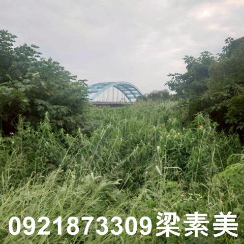 台南學甲農地-2