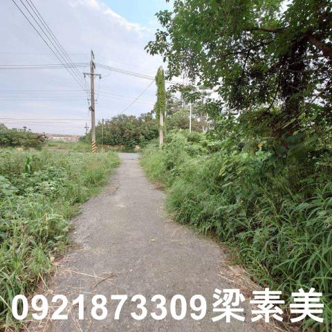 台南學甲農地-3