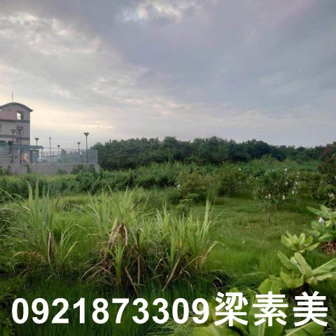 台南學甲農地-4