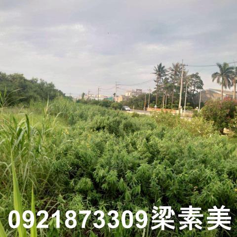 台南學甲農地-7