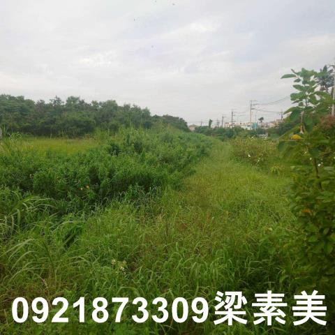 台南學甲農地-8