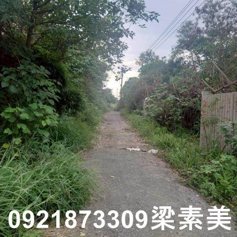 台南學甲農地-9