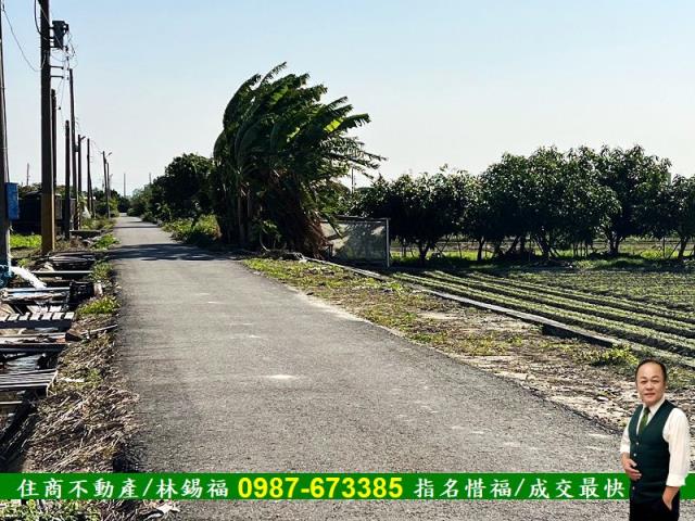 台南佳里農地-10