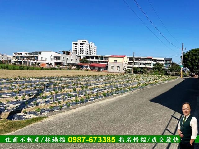 台南佳里農地-14