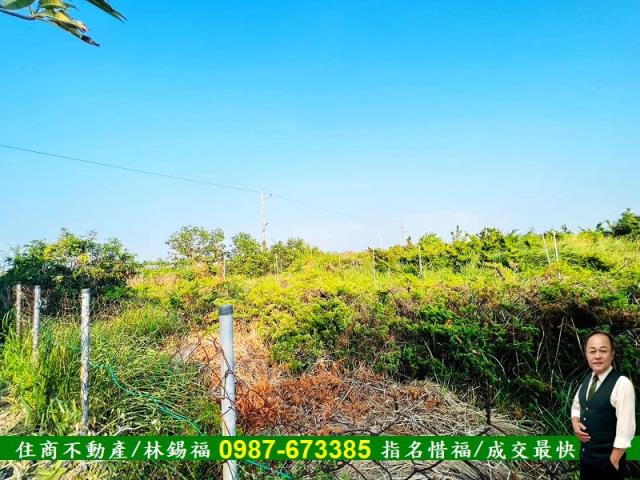 台南佳里農地-5