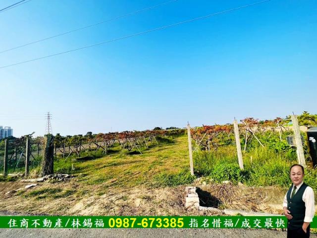 台南佳里農地-6