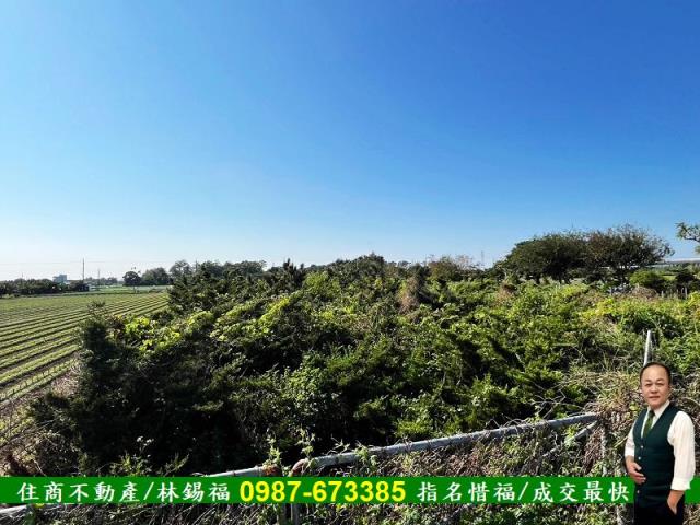 台南佳里農地-7