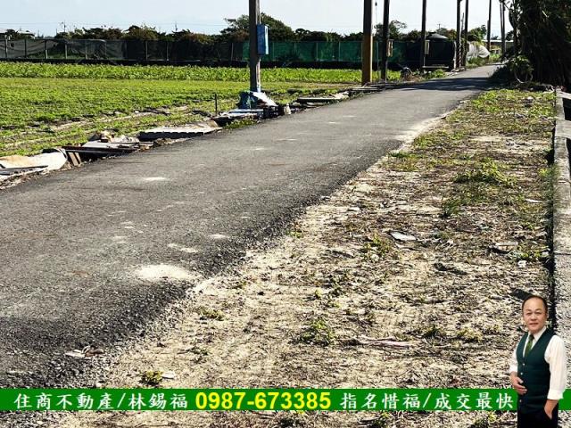 台南佳里農地-9