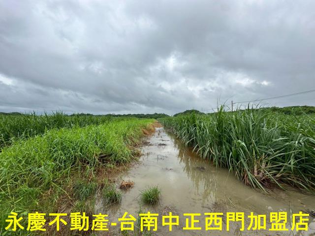 山上農地-12