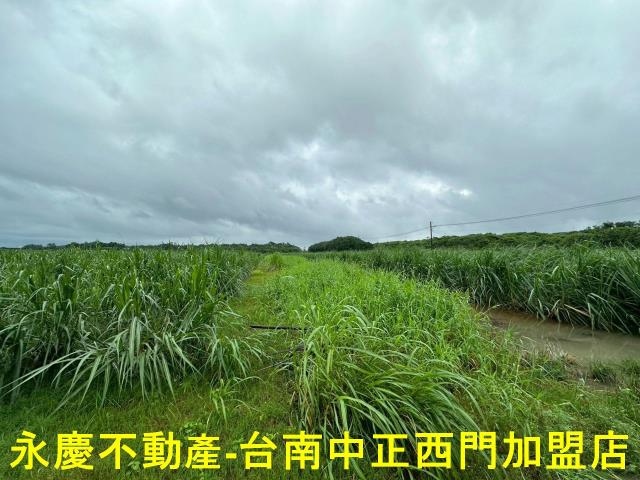 山上農地-13
