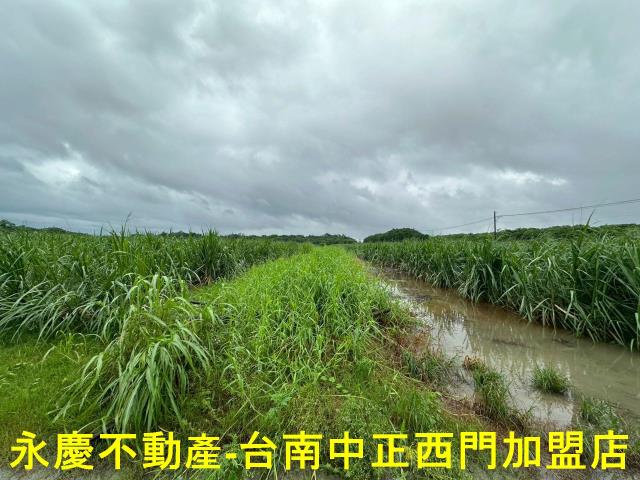 山上農地-14