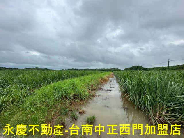 山上農地-8