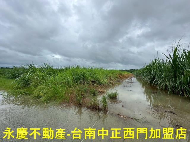 山上農地-9