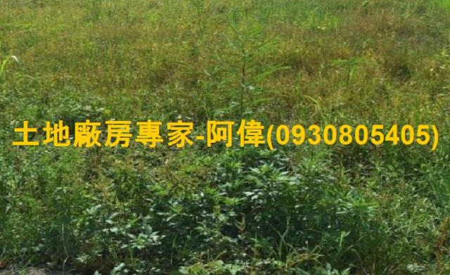 大寮農地-1