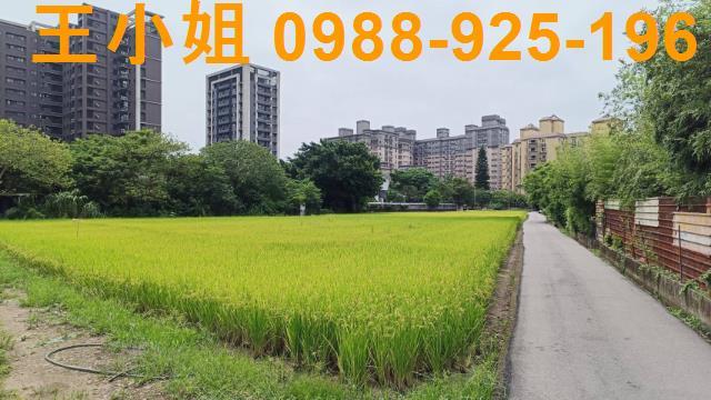 桃園農地-10