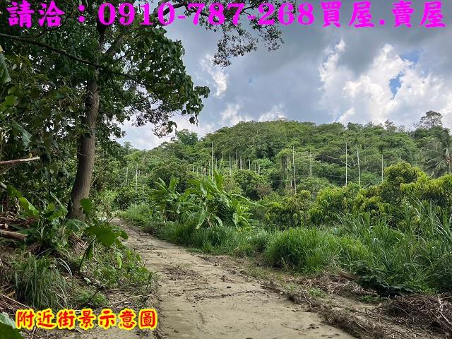 台南白河農地-11