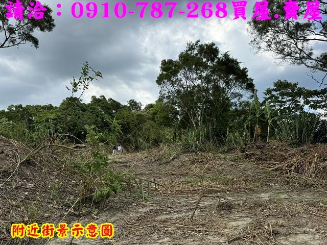 台南白河農地-9