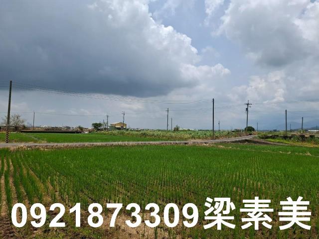 柳營農地-6