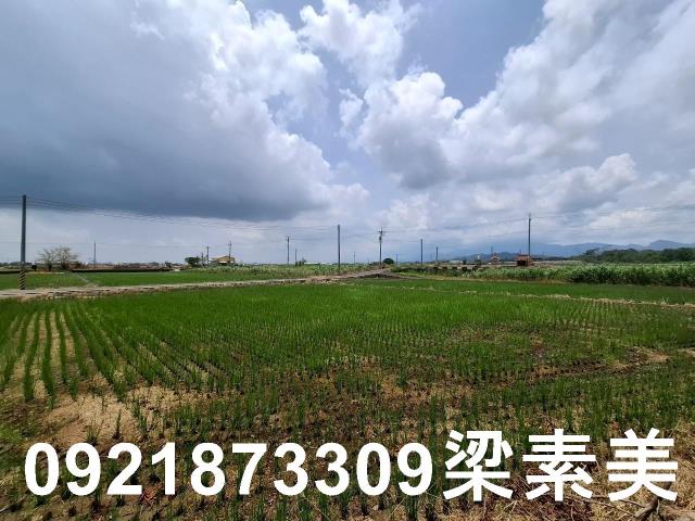 柳營農地-7