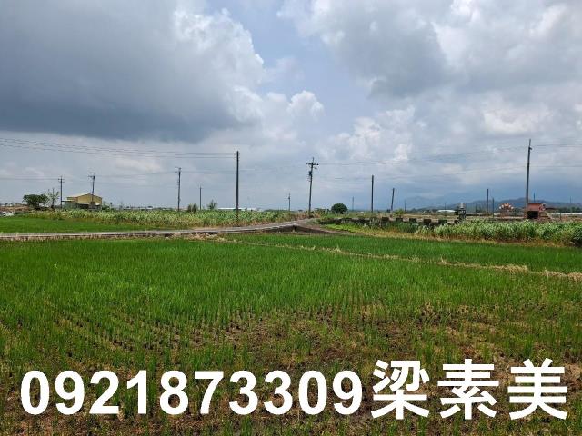 柳營農地-8