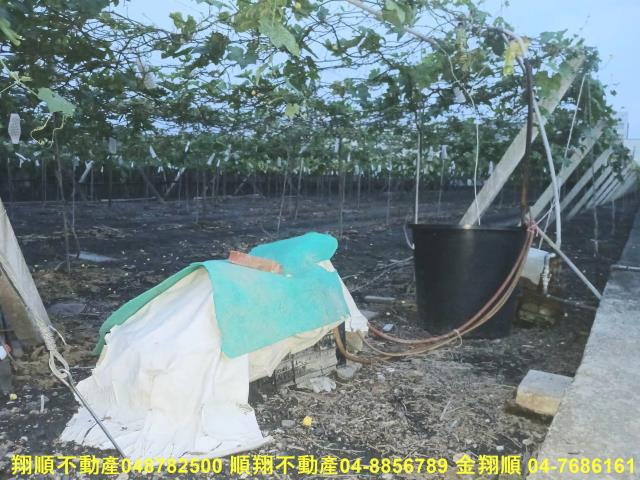溪湖農地-7