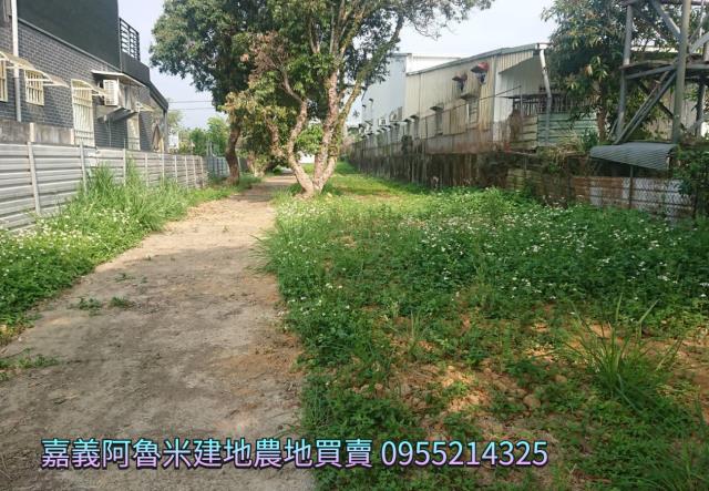 番路農地-7