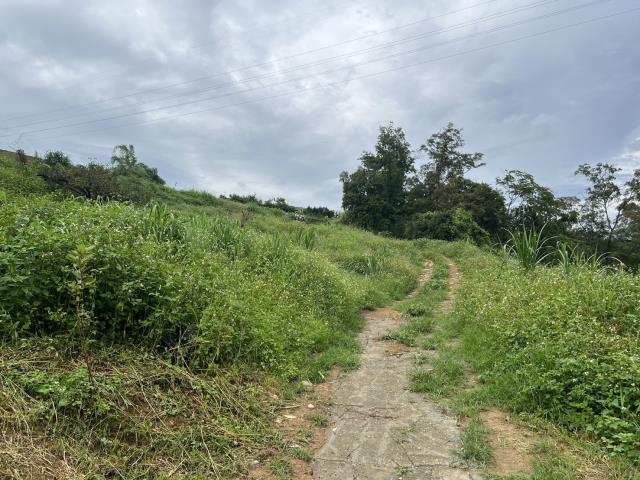 東勢農地-2