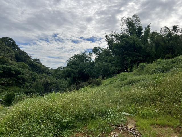東勢農地-3