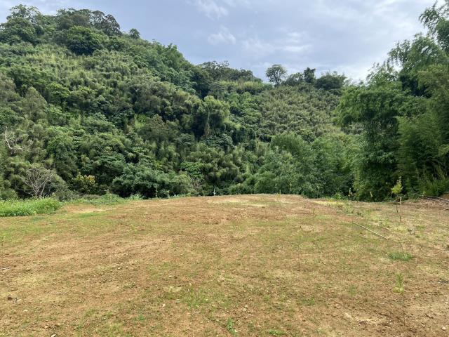 東勢農地-6