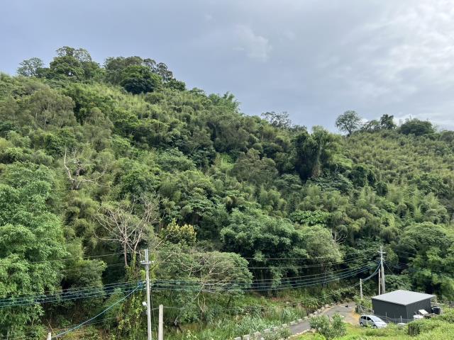 東勢農地-8
