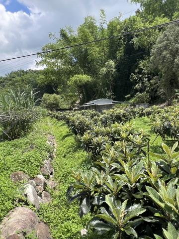 台中農地-6