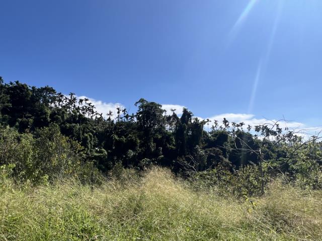 台中農地-2