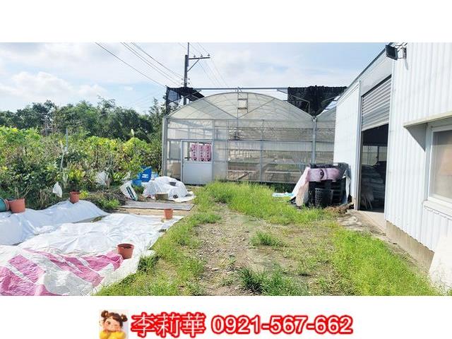 高雄燕巢農地-2