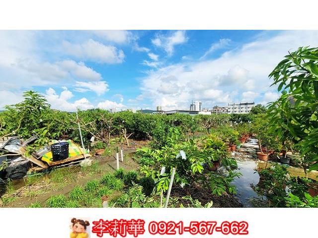 高雄燕巢農地-8