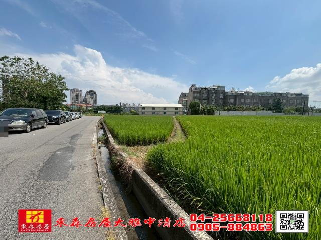台中大雅農地-1