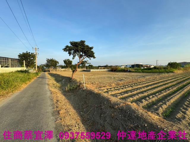 歸仁農地-1